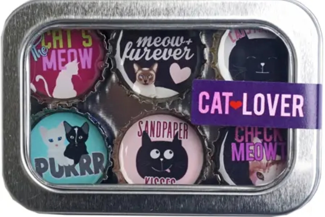 Magnetic Expressions