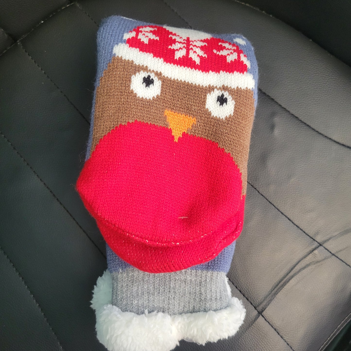 Holiday Slippers/Socks